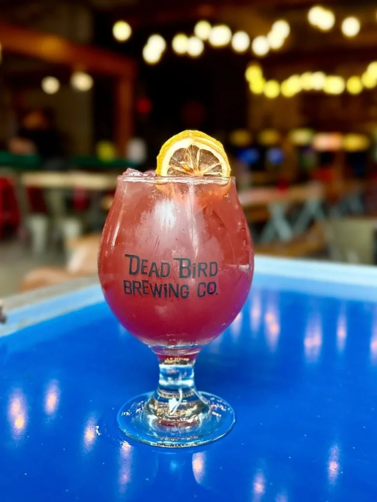 494444214_1241848397950516_6125277642170311783_n 494444214_1241848397950516_6125277642170311783_n